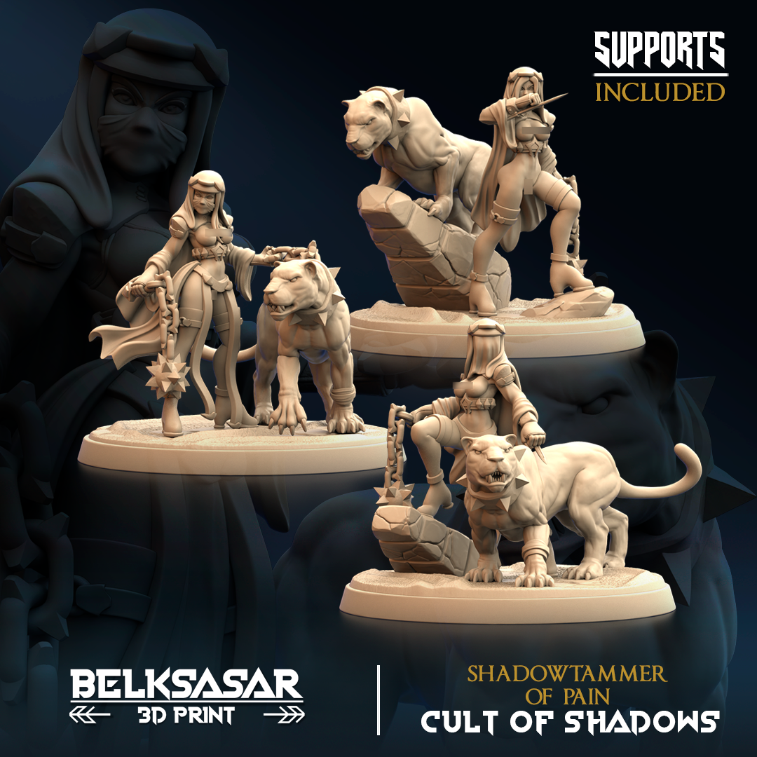 Belksasar - Shadowtammer Ranger of Pain - Cult of Shadows 2024 November