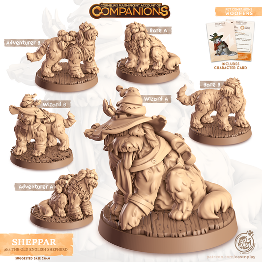 Cast n Play - Sheppar (The Old English Shepherd),  Companion