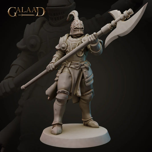 Galaad - Spear Knight 01 - Royal Guard 2023 February