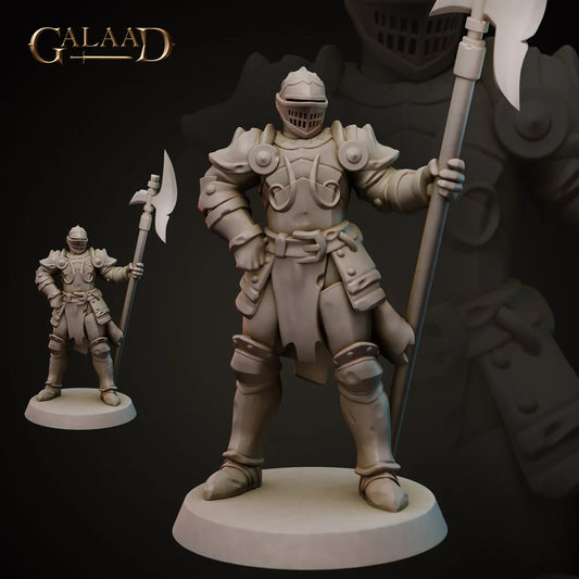 Galaad - Spear Knight 02 - Royal Guard 2023 February