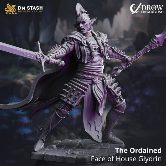DM Stash - The Ordained, Face of House Glydrin - Drow from Beyond 2025 August