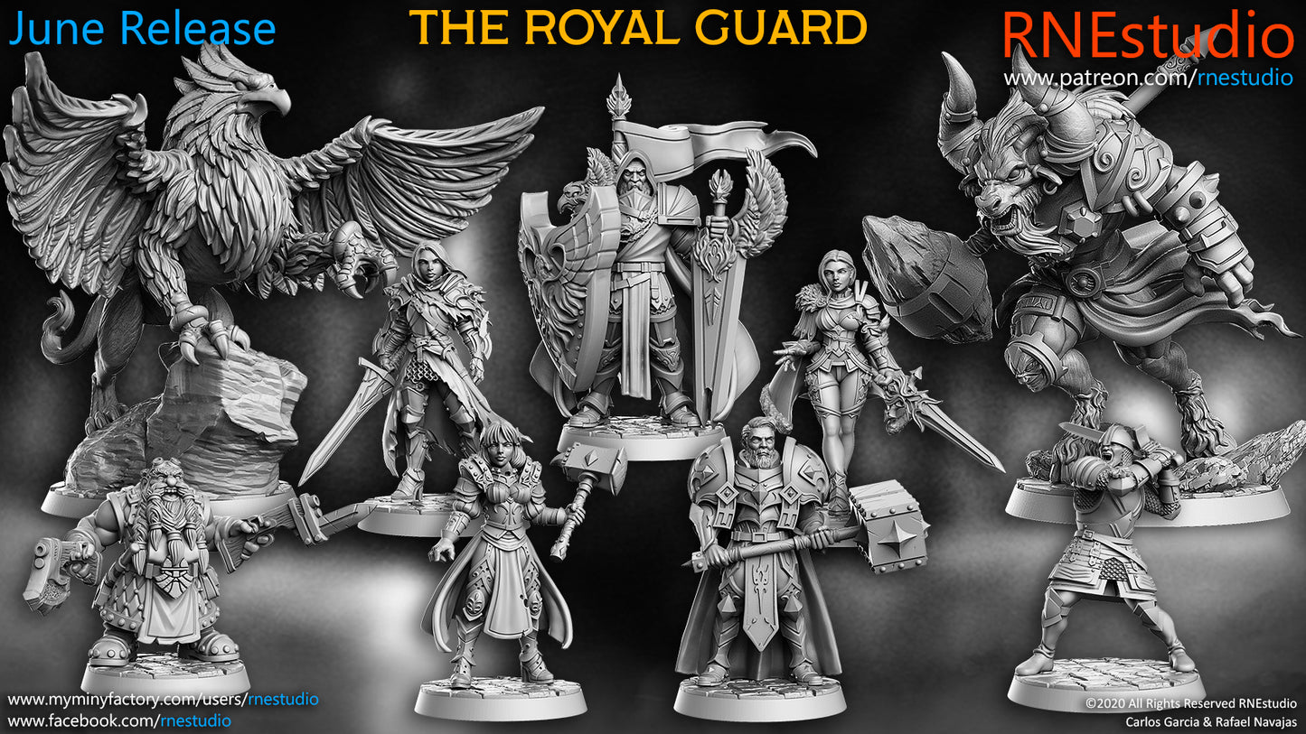 RN Estudio - The Royal Guard 2020 June Release