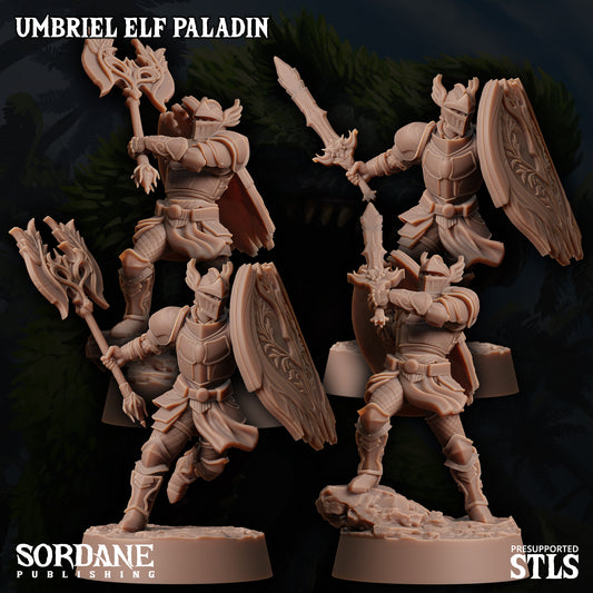 Arcane Minis (Sordane) - Umbriel Elf Paladin