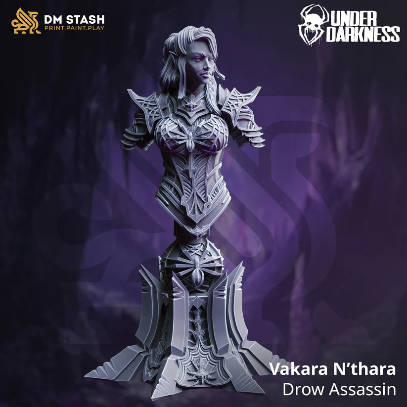 DM Stash - Bust Vakara, Drow Assassin (Bust) - Under Darkness 2024 February Release