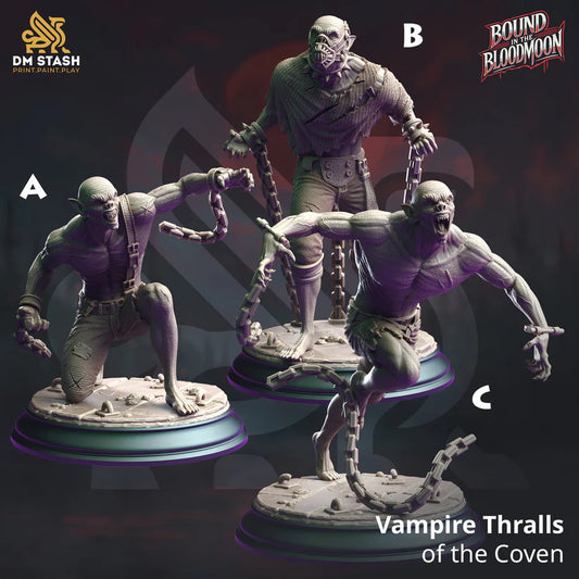 DM Stash - Vampire Thralls of the Coven  - Bound in the Bloodmoon 2024 October Release