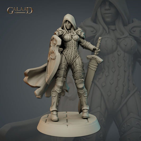 Galaad - Warden 05 Female Paladin Oathbreaker - Knights and Specters 2023 December
