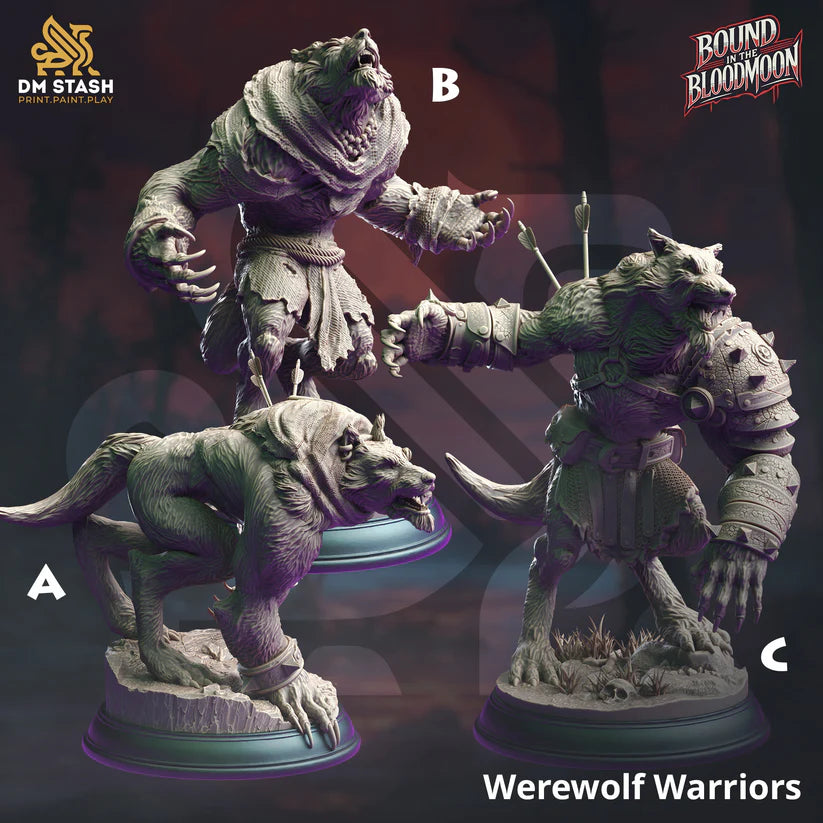 DM Stash - Werewolf Warrior - Bound in the Bloodmoon 2024 October Release