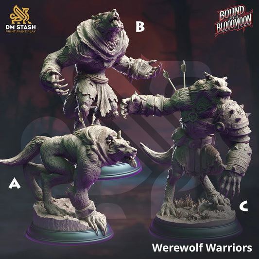 DM Stash - Werewolf Warrior - Bound in the Bloodmoon 2024 October Release