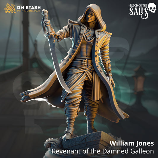 DM Stash - William Jones, Revenant of the Damned Galleon - Blood on the Sails 2025 July
