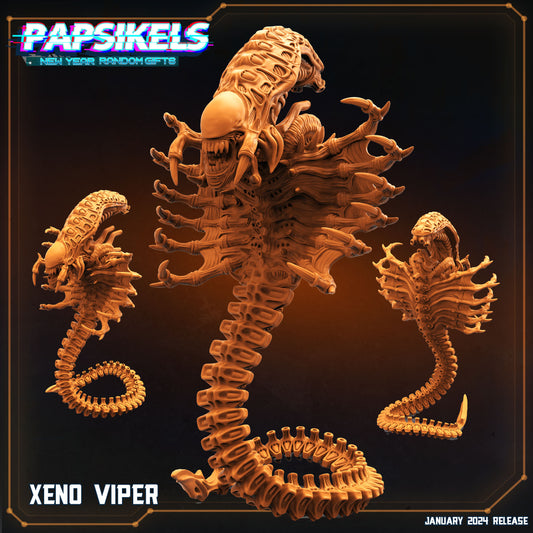 Papsikels - Xeno Viper - New York Bonus 2024