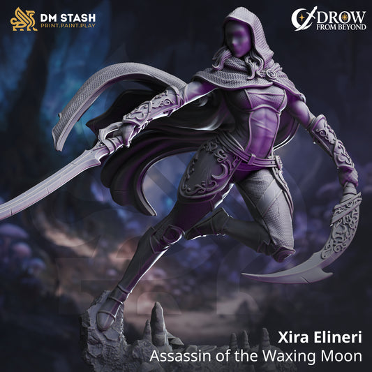 DM Stash - Xira Elineri, Assassin of the Waxing Moon - Drow from Beyond 2025 August