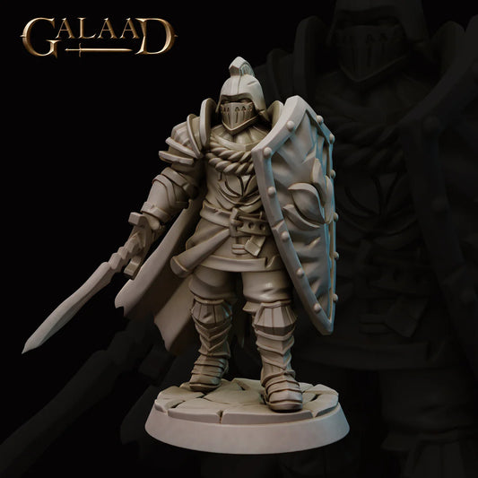 Galaad - Guard Elite 01 - Royal Guard 2022 October