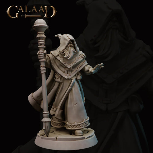Galaad - Wizard Human - Royal Guard 2022 October