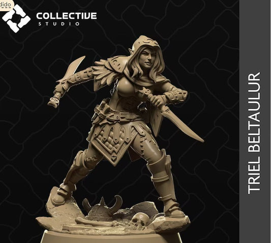 Collective Studio - Triel Beltaulur