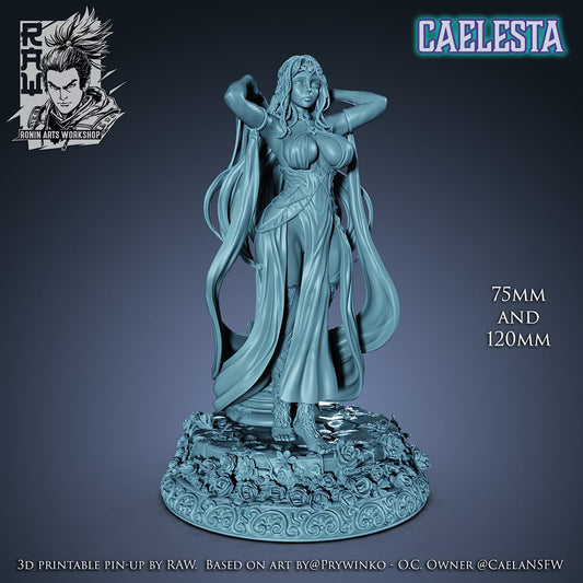 Ronin Arts - Caelesta Elf Princess - 2024 May