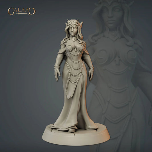 Galaad - Princess Elf Sorecerer - Knights and Specters 2023 December