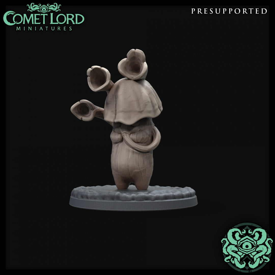 Comet Lord - Little Myconids