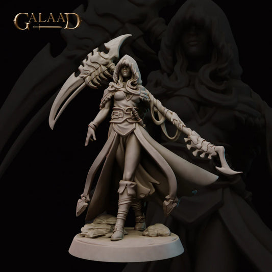 Galaad - North Reaper Human Fighter - Welcome Pack