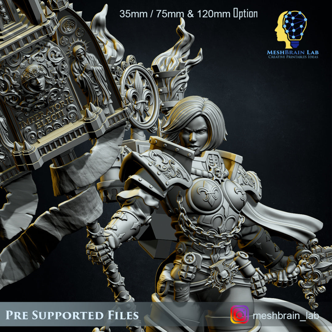 MeshBrain Lab - Battle Sister Superior Collector's edition 35mm/ 75mm & 120mm