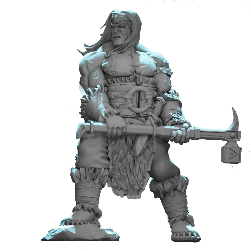 Lion Tower Miniatures - Drizzt Crew