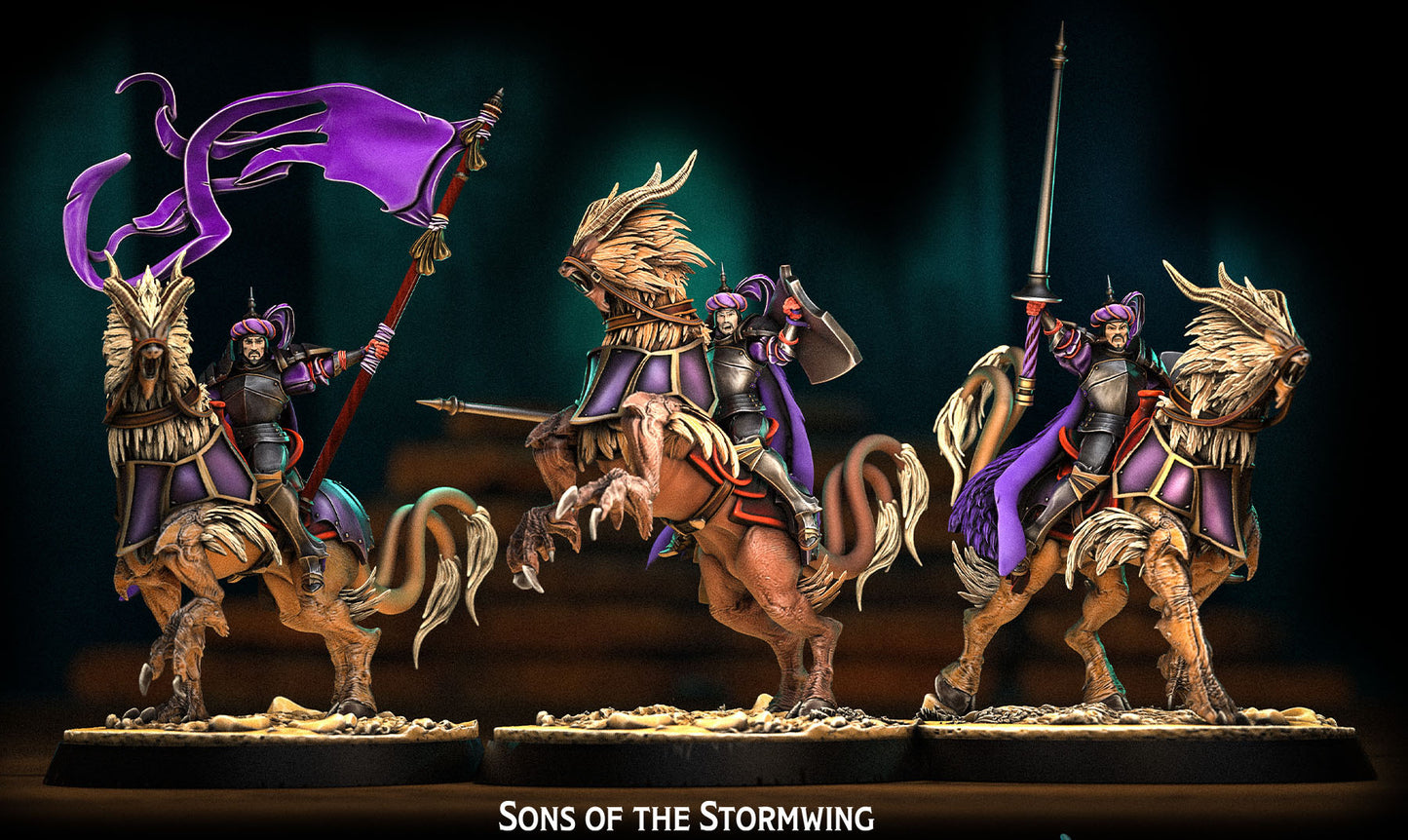 Heroes Infinite Raging Heores - Sons of The Stormwing - Mortenburg Chronicles 2025 April
