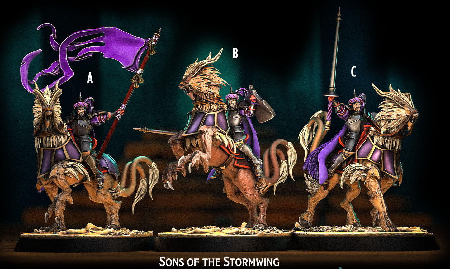 Heroes Infinite Raging Heores - Sons of The Stormwing - Mortenburg Chronicles 2025 April
