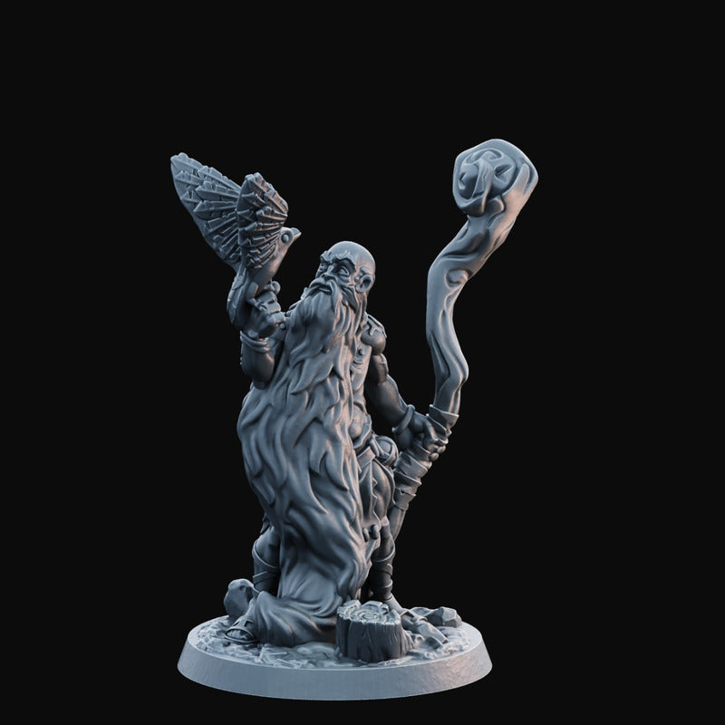Arbiter Miniatures - Hero of The Realm 35mm