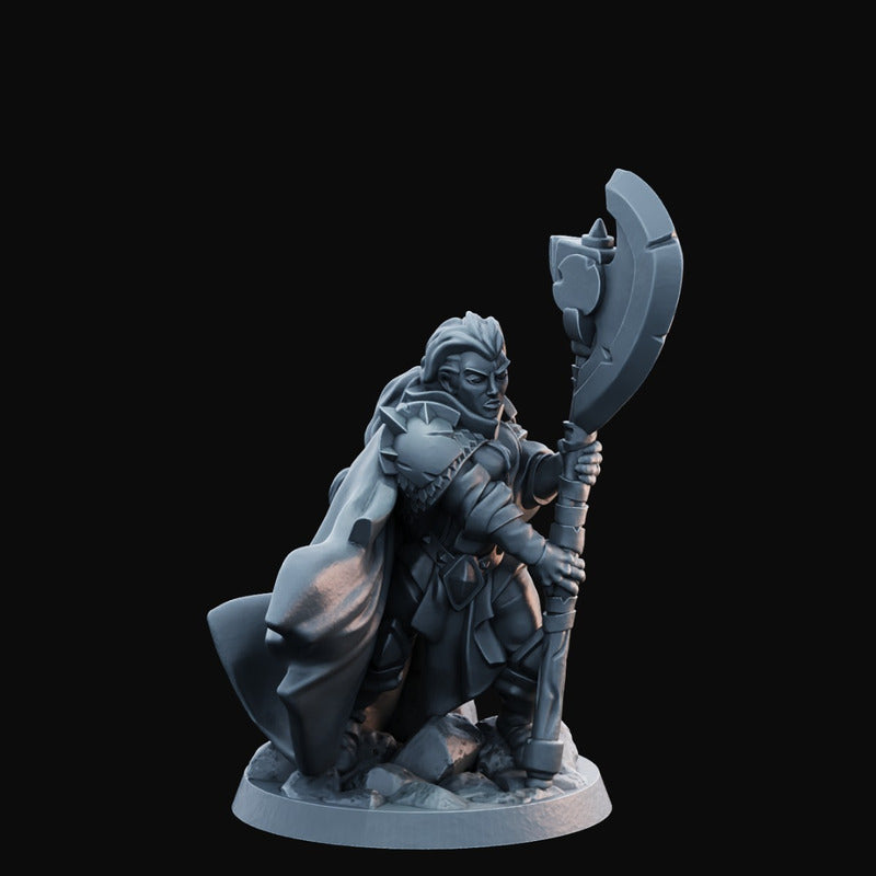 Arbiter Miniatures - Hero of The Realm 35mm