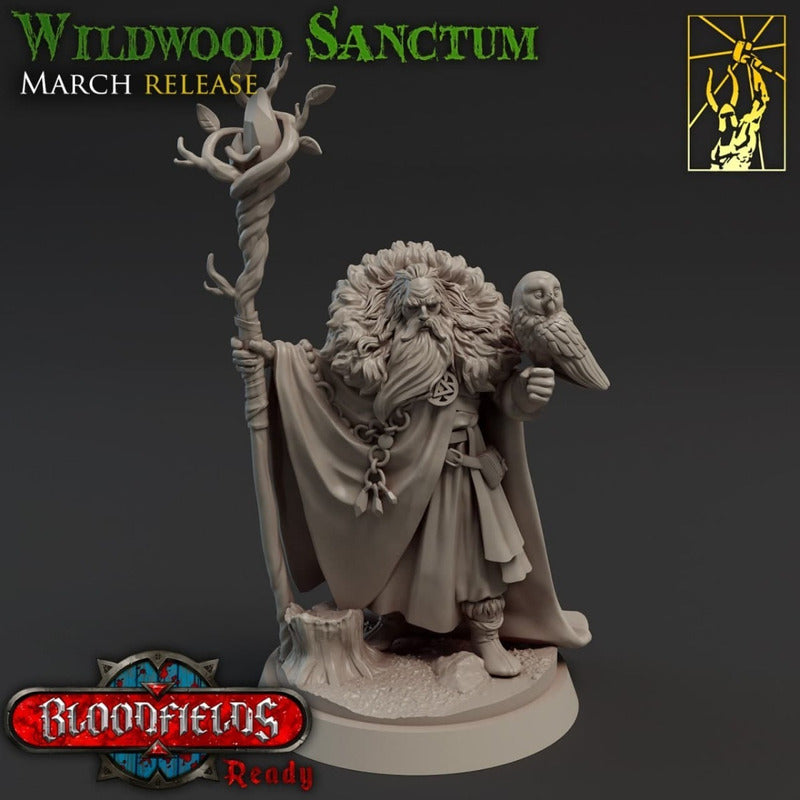 Titan Forge - Wildwood Sanctum 2021 March Release