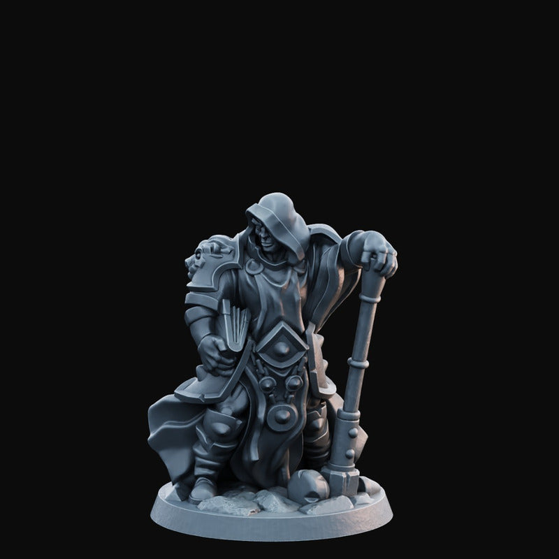 Arbiter Miniatures - Hero of The Realm 35mm