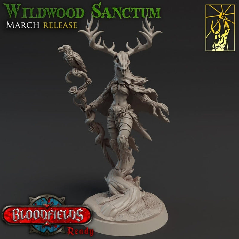 Titan Forge - Wildwood Sanctum 2021 March Release