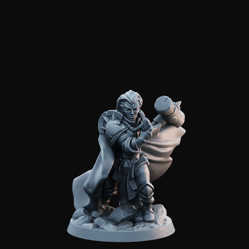 Arbiter Miniatures - Hero of The Realm 35mm
